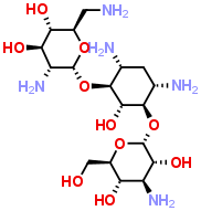 Kanamycin B 4696-76-8